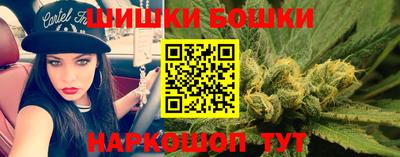 гидра Лесосибирск
