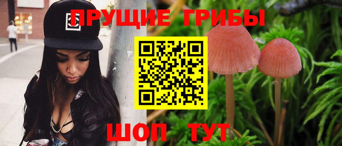 Камышлов  Псилоцибиновые грибы Magic Shrooms  Вход с VPN 