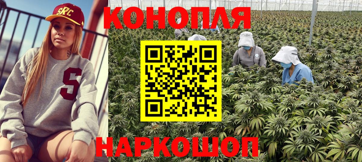 Камышлов  Канабис семена  Вход с VPN  Конопля SATIVA & INDICA 